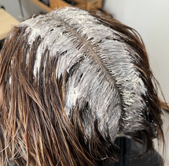 カラーメニュー