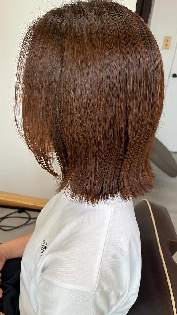 スタイルギャラリー