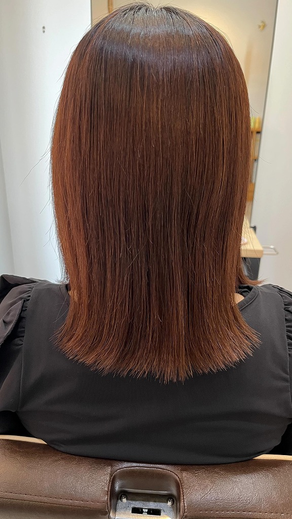 スタイルギャラリー