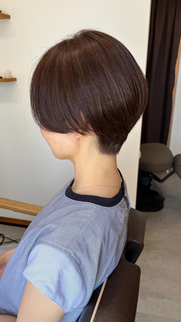 スタイルギャラリー