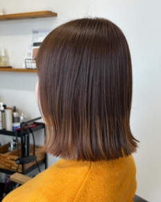 スタイルギャラリー